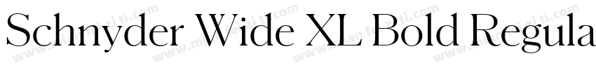Schnyder Wide XL Bold Regular字体转换